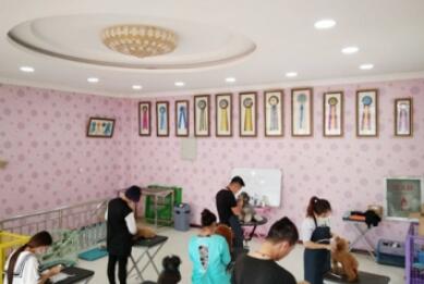 内蒙古和林格尔县宠物美容师培训学校