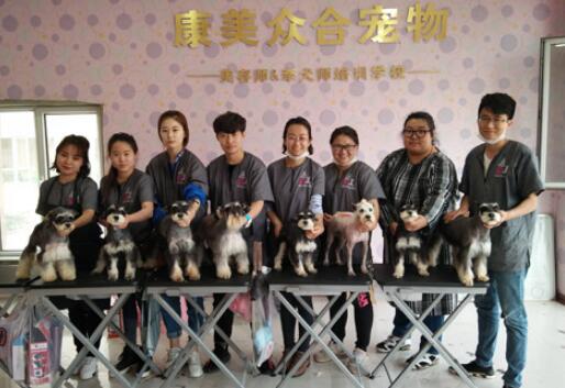 内蒙古和林格尔县康美众合宠物美容培训学校
